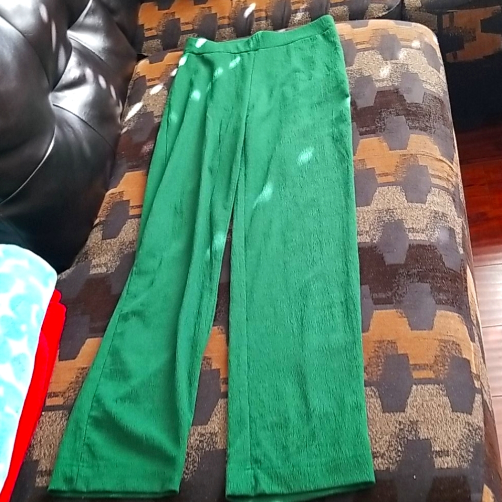 Zara pants